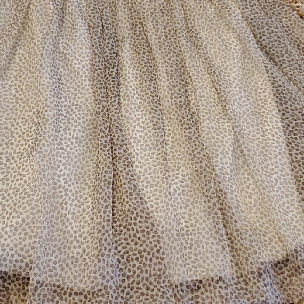 🐆 - Picture 2 of 6